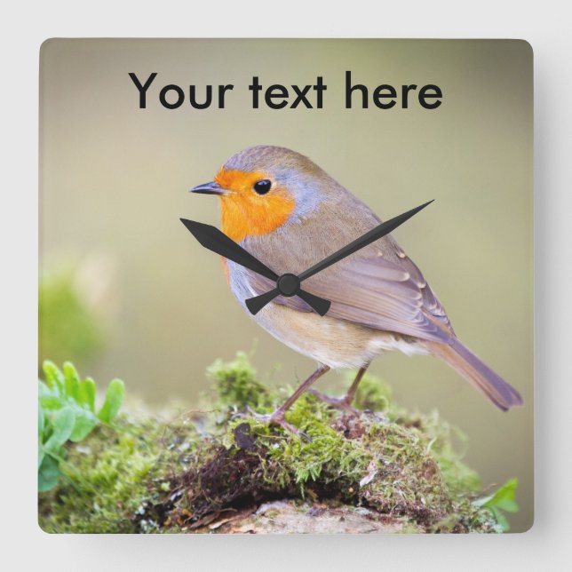 Customizable Robin clock add your own text (Front)