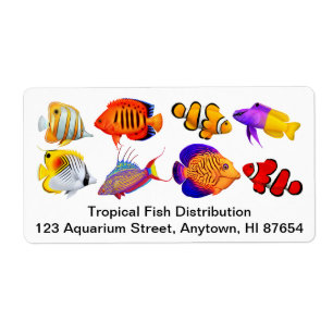 Customizable Saltwater Marine Aquarium Fish Label