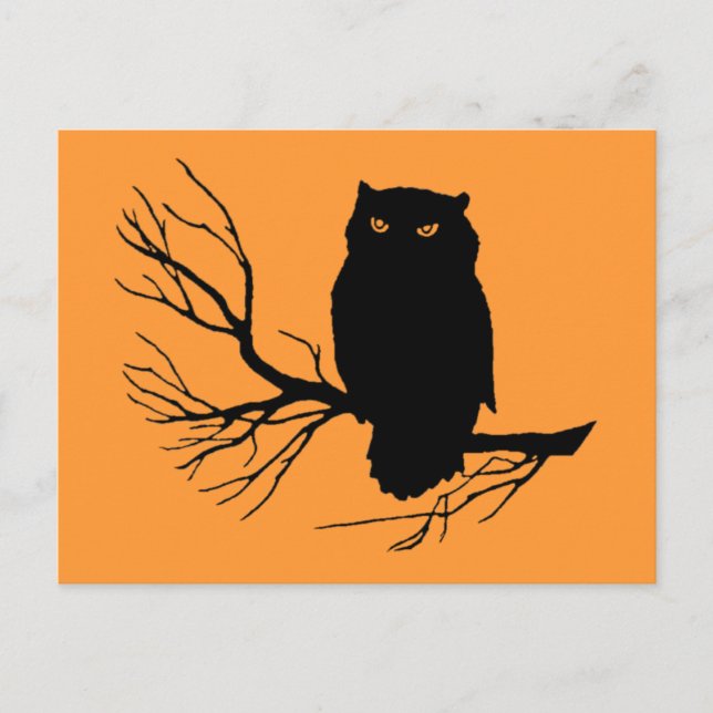 Customizable Spooky Owl Postcard (Front)
