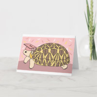 Customizable Star Tortoise Graduation Card 3