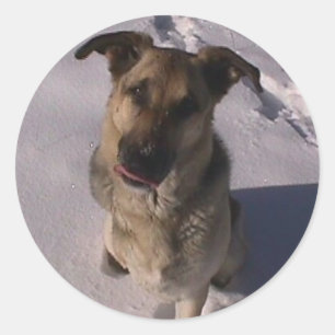 Customizable Sticker