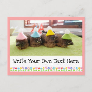 Customizable Text Cute Baby Bird Finch Finches Postcard