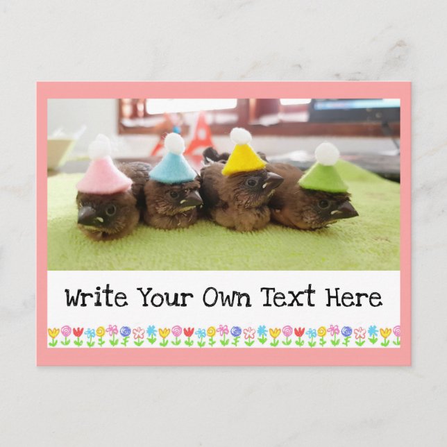 Customizable Text Cute Baby Bird Finch Finches Postcard (Front)