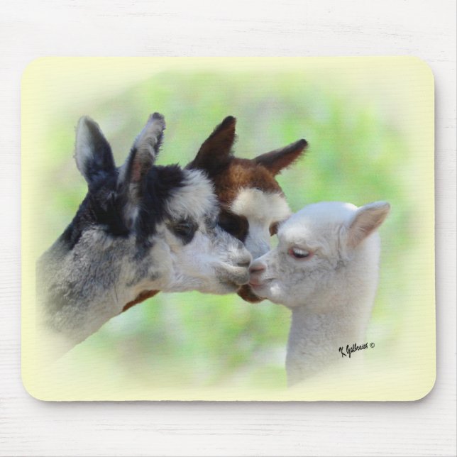 Customizable Three Alpacas Mousepad (Front)