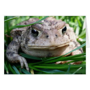 Customizable toad card