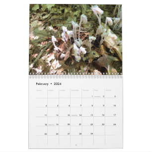 Customizable Two Page Medium Photo Calendar