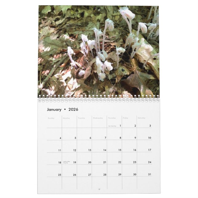 Customizable Two Page Medium Photo Calendar (Jan 2026)