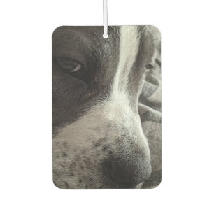 Customizable Two-Sided Photo Air Freshener