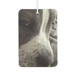 Customizable Two-Sided Photo Air Freshener