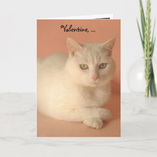 Customizable Valentine Cats Holiday Card