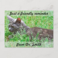 Customizable Veterinary Checkup Reminder