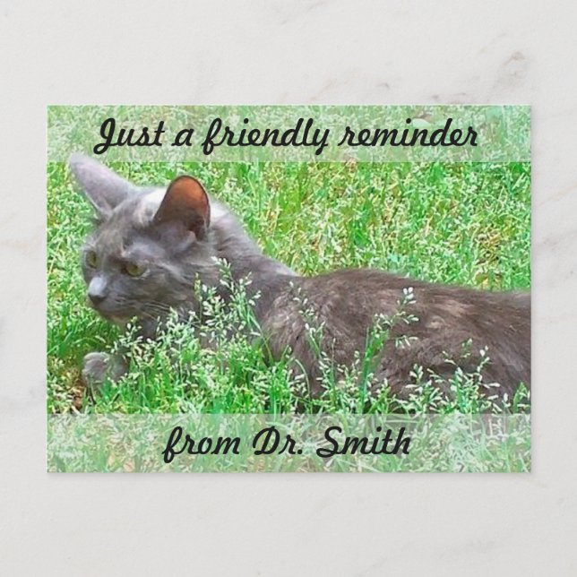 Customizable Veterinary Checkup Reminder Postcard (Front)