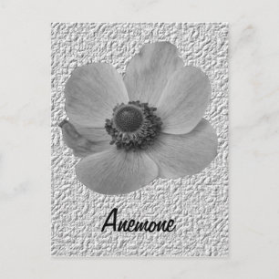 Customizable Vintage Anemone Postcard