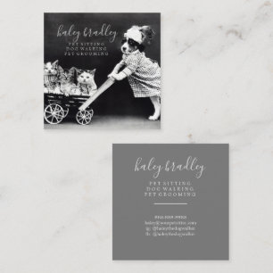 Customizable Vintage Canine Grooming Square Business Card