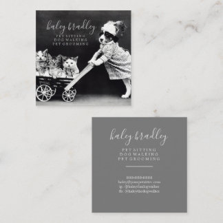 Customizable Vintage Canine Grooming Square Business Card