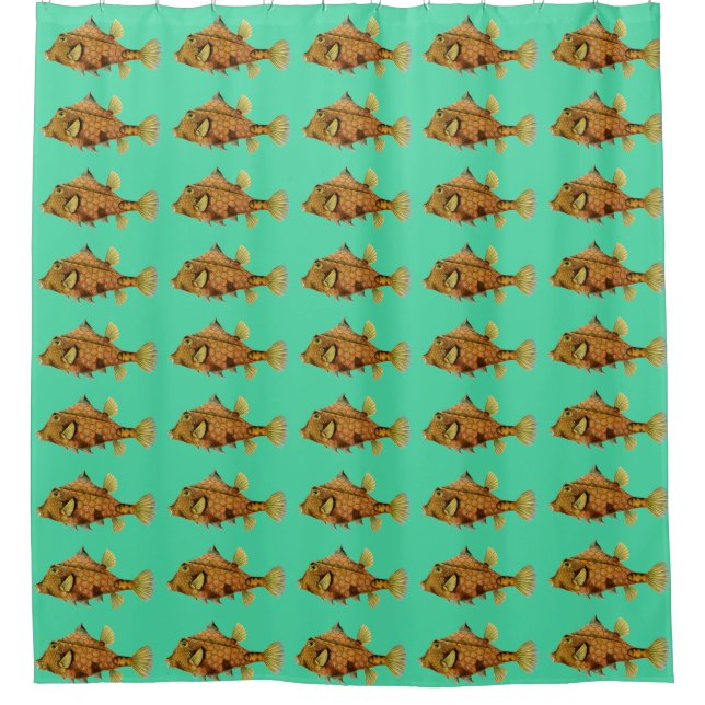 Customizable Vintage Haeckel Fish (Front)