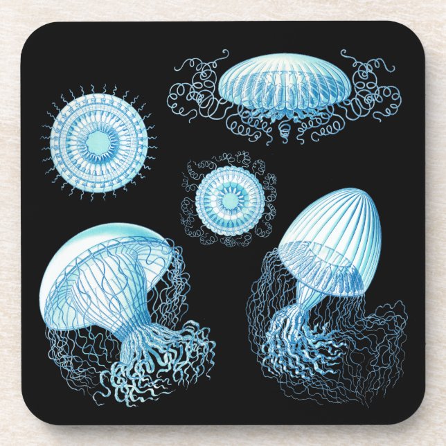 Customizable Vintage Haeckel Jellyfish Coaster (Front)