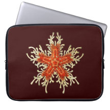 Customizable Vintage Haeckel Starfish