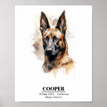 Customizable Watercolor Painting of Malinois