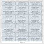 Customizable wedding guest address labels sticker<br><div class="desc">Easy to personalize,  names and addresses / individual wedding shipping address label stickers for guests. dusty blue</div>