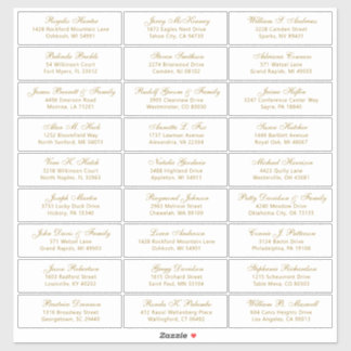 Customizable wedding guest address labels sticker