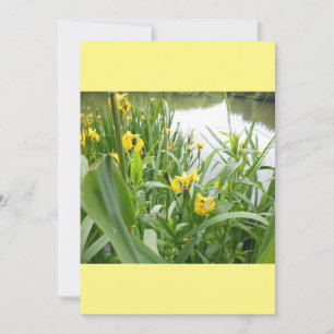 Customizable Wedding Invitations Template