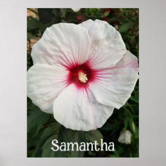 Customizable White Hibiscus with Hot Pink Centre Poster