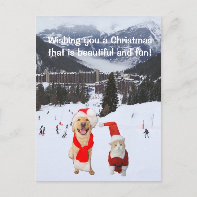 Customizable with Dog & Cat in Alps Holiday Postcard (Front)