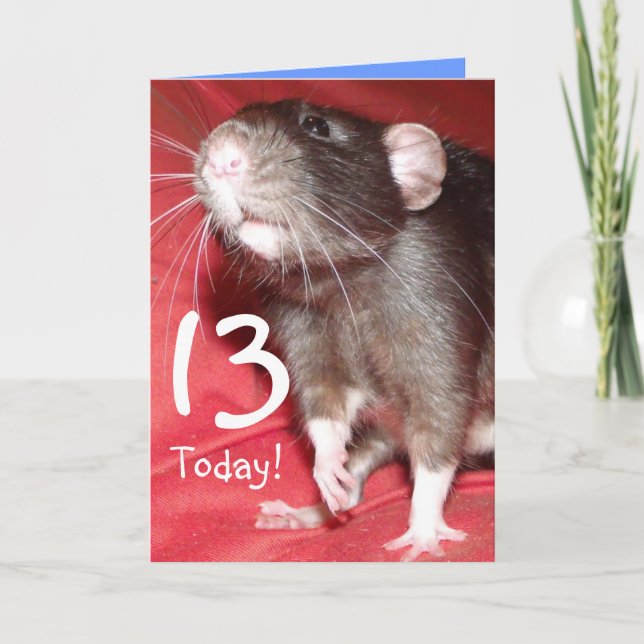 customizable year number Dumbo rat Birthday card (Front)