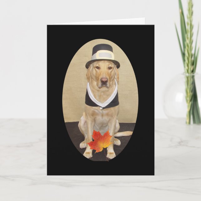Customizable Yellow Lab Pilgrim Holiday Card (Front)