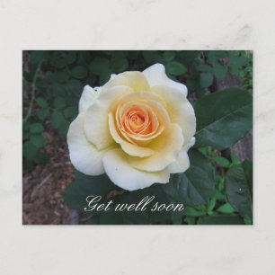 Customizable Yellow Rose Greeting Postcard
