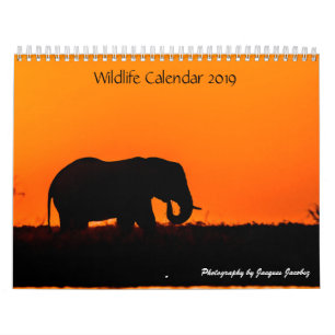 Customization Wildlife Calender Calendar
