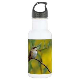 Customize 532 Ml Water Bottle