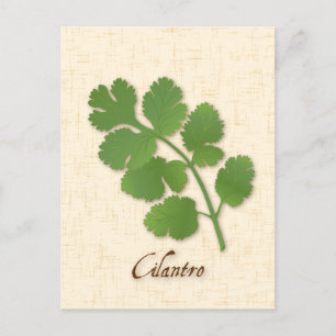 Customize Cilantro Herb Postcard