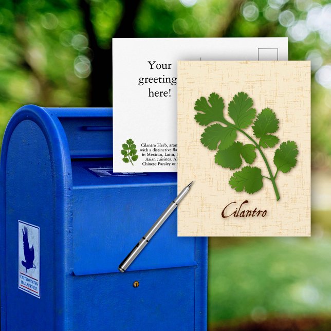 Customize Cilantro Herb Postcard (Customize Cilantro Herb Postcard, aromatic leaves with a distinctive flavor.)