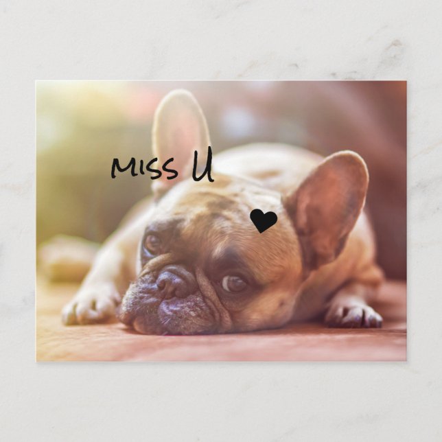 Customize Cute Doggy Postcard (Front)