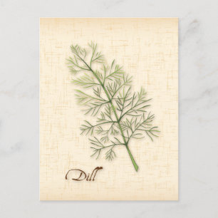 Customize Dill Herb Postcard