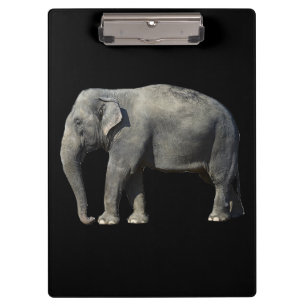 Customize Elephant Clipboard