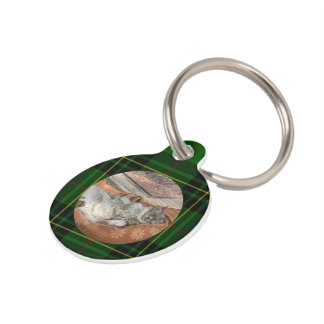 Customize Forbes Tartan Green Cat Pet Tag