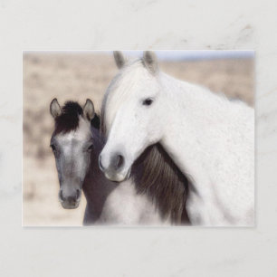 Customize Horse Party Invitations and Cards