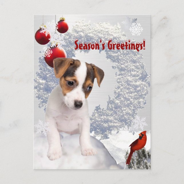 Customize It!  Jack Russell Terrier Christmas Wish Holiday Postcard (Front)