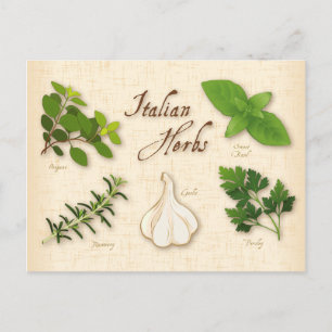 Customize Italian Herbs Postcard