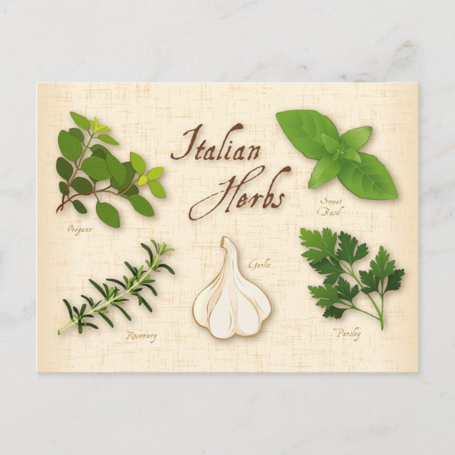 Customize Italian Herbs Postcard (Front)
