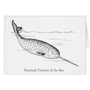 Customize Narwhal Whale Unicorn of the Sea