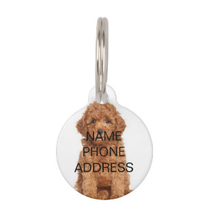 Customize, personalize Dog Name, Phone and Photo - Pet Tag