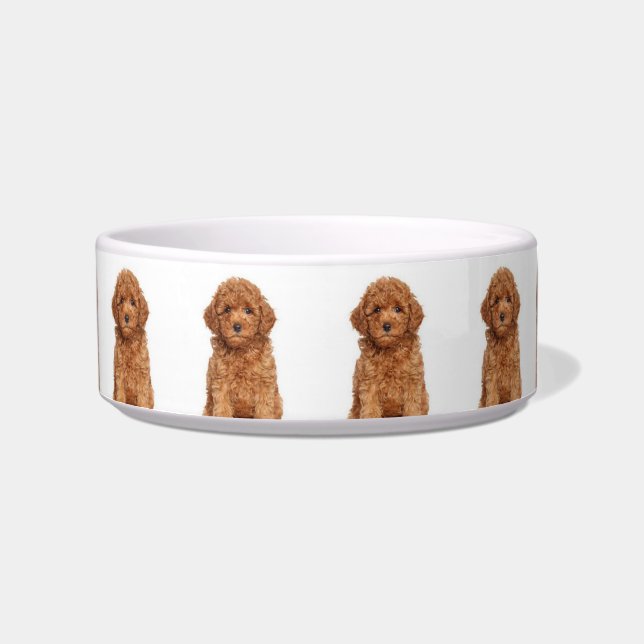 Customize, personalize with dog, cat photo Pet Bowl (Front)
