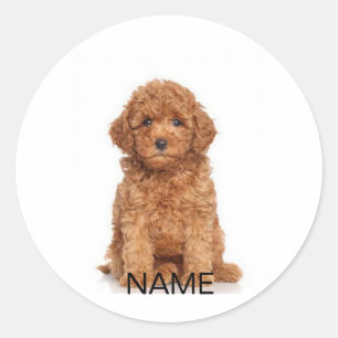 Customize personalize with photo & name classic round sticker
