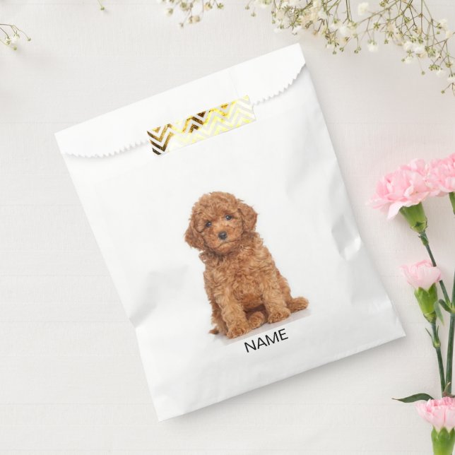 Customize, personalize with photo, name gift favour bag (Sealed)
