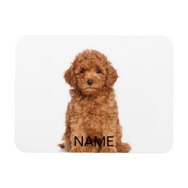 Customize personalize with photo & name magnet (Horizontal)