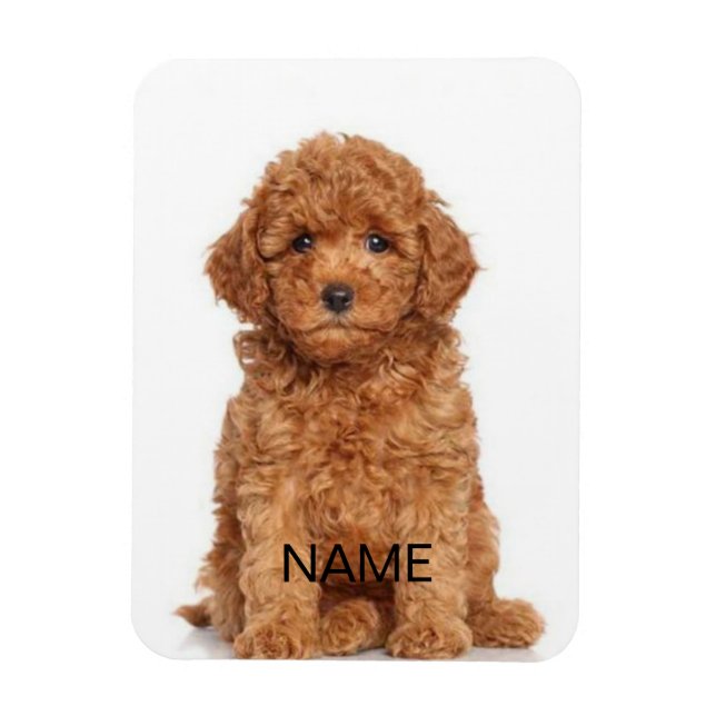 Customize personalize with photo & name magnet (Vertical)